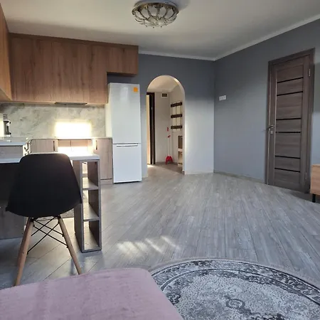 простора сімейна оселя у серці міста бічна площа ринок кухня-студія та спальня * Lviv