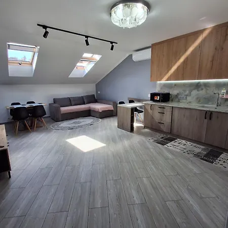 Apartment простора сімейна оселя у серці міста бічна площа ринок кухня-студія та спальня Lviv