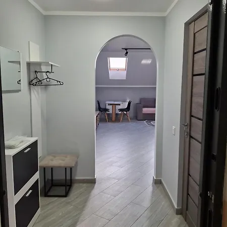 Appartement простора сімейна оселя у серці міста бічна площа ринок кухня-студія та спальня 2 кондиціонери Lviv